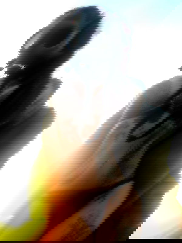 zommmbri zommmbri archive image