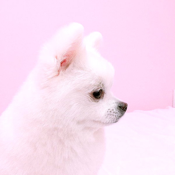 daxbin instagram image archive image
