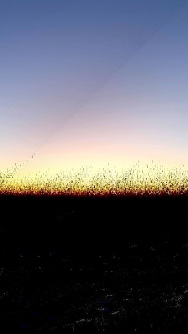 bymonamarie bymonamarie archive image