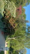 ellamwatts_ Altpins Profile Picture