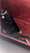 shibari0_0 Altpins Profile Picture