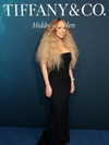 mariahcarey Altpins Profile Picture