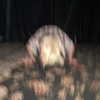 lowrtown Altpins Profile Picture