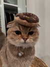 kyliejenner Altpins Profile Picture
