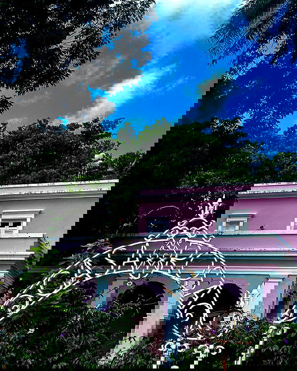 taylor.creeden taylor.creeden archive image