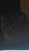 wannabeyourbabygirl Altpins Profile Picture
