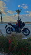 shanidahan7 Altpins Profile Picture