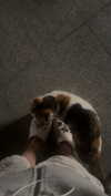 mellisachristiee Altpins Profile Picture