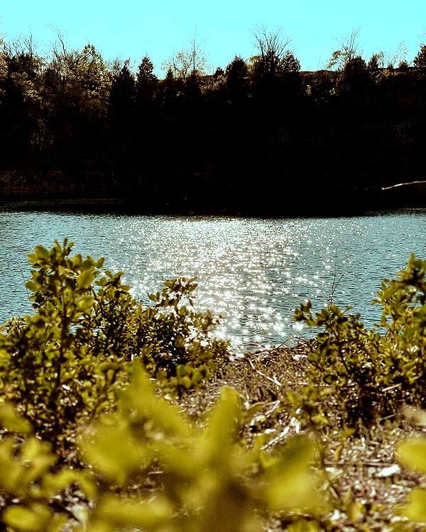 hallucineon instagram image archive image