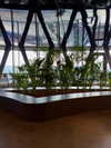 kasumi_sen Altpins Profile Picture