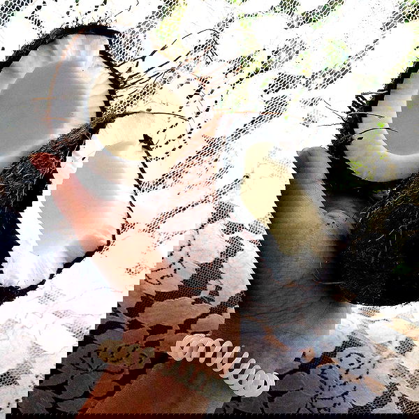 kkulakovaa image ~ Altpins