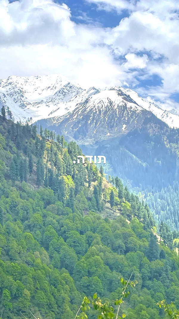 elia.shinar instagram image archive image