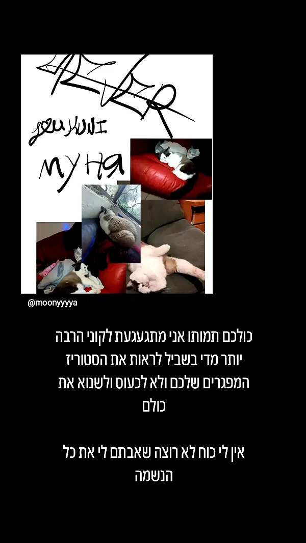 moonyyyya moonyyyya archive image