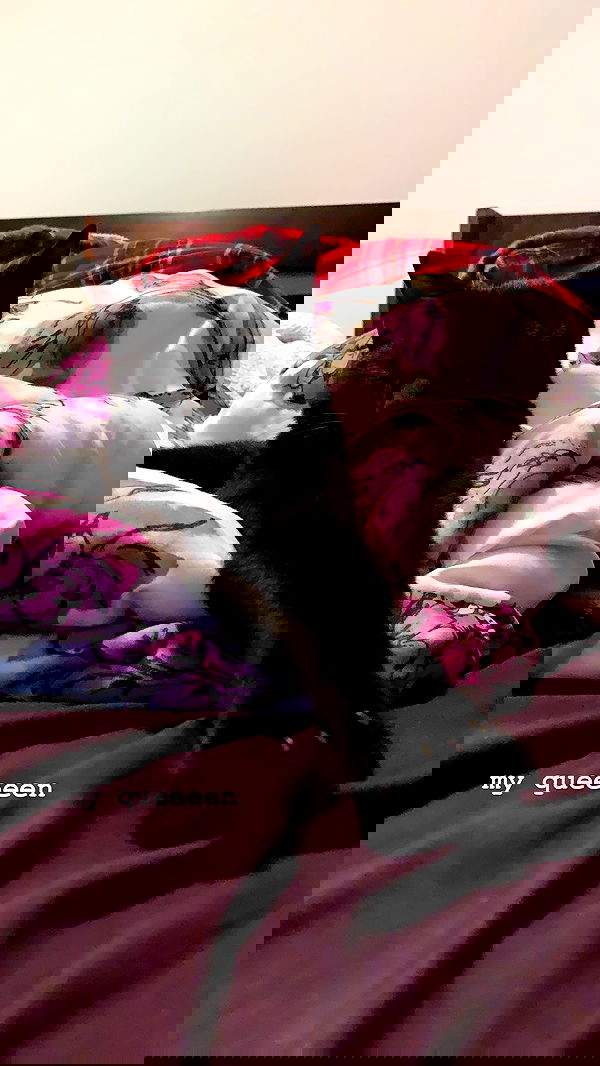 suikomuu suikomuu archive image