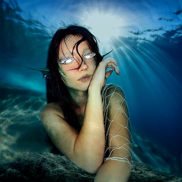 parkenharbor instagram image archive image