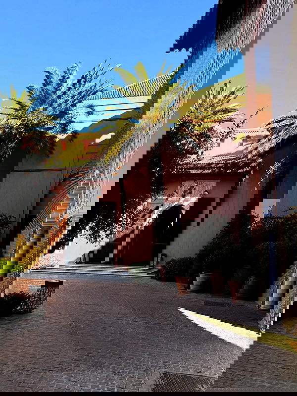 payton.r payton.r archive image