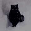 rachelchaleff Altpins Profile Picture