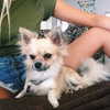 gabbyepstein Altpins Profile Picture