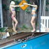 rchhhll Altpins Profile Picture