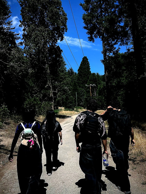 grogusmami instagram image archive image