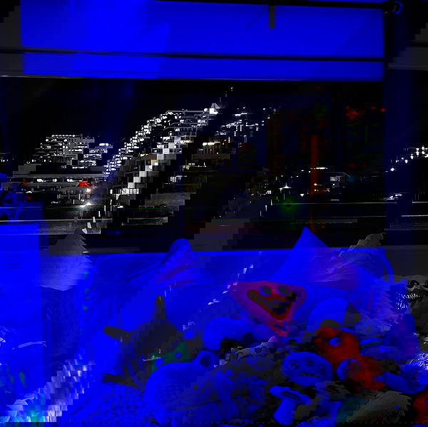 jtilb2 image ~ Altpins