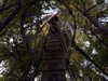 m1lkh8club Altpins Profile Picture