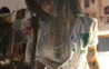 zommmbri Altpins Profile Picture