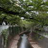 fallen.angel2007 Altpins Profile Picture