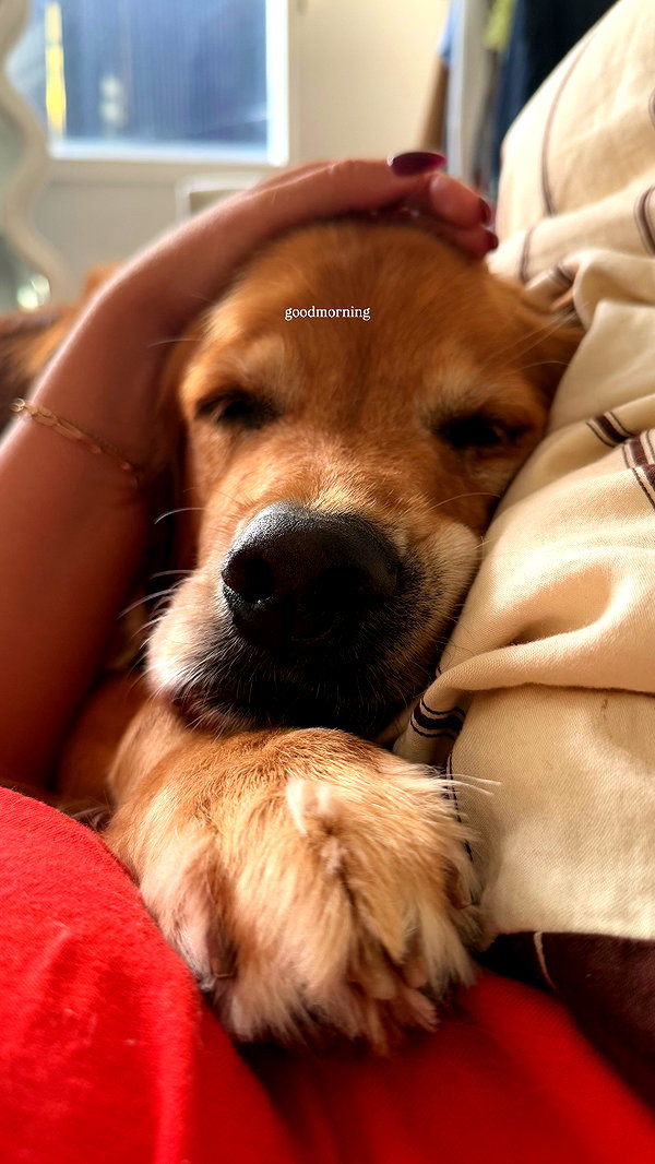 Archived image from @edenharper on Instagram