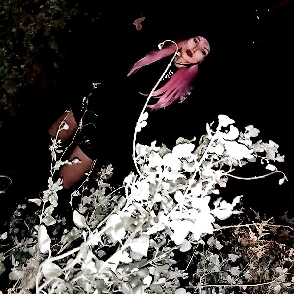 noyaislilith333 instagram image archive image