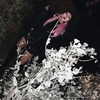 noyaislilith333 Altpins Profile Picture