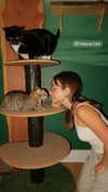 roni_ackerman Altpins Profile Picture