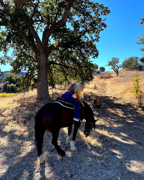 Archived image from @katiesigmond on Instagram