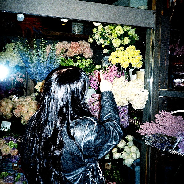 avestanova instagram image archive image
