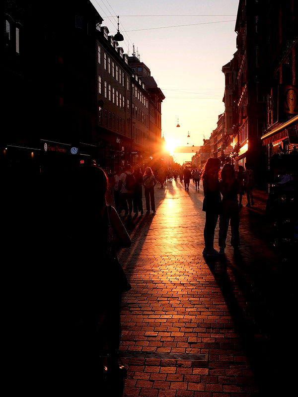 elsgatti instagram image archive image