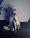 glowmoonshorty Altpins Profile Picture