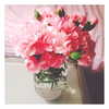 gigihadid Altpins Profile Picture