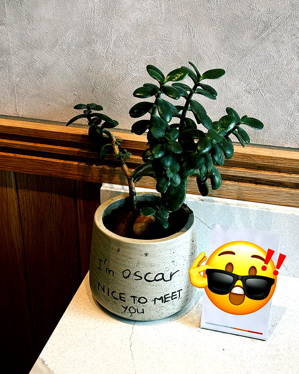 shulunc instagram image archive image