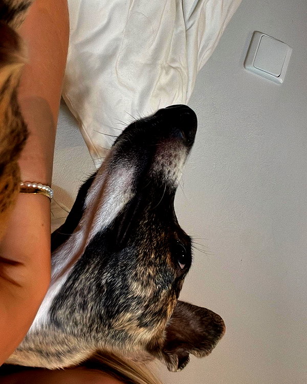 lilih instagram image archive image