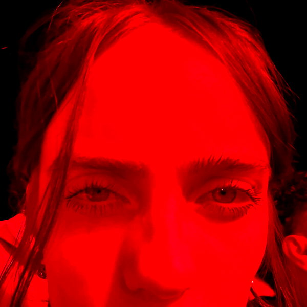billieeilish billieeilish archive image