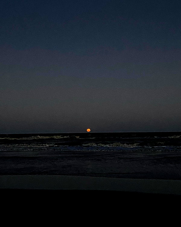 solzarubin_ instagram image archive image
