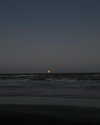 solzarubin_ Altpins Profile Picture