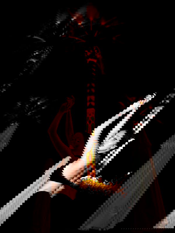 pollcherri pollcherri archive image