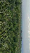veroni22ka Altpins Profile Picture
