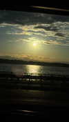 cellow111 Altpins Profile Picture