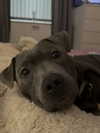_m_a_y_c_ Altpins Profile Picture