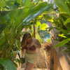 amit._.bar Altpins Profile Picture
