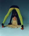xtina Altpins Profile Picture