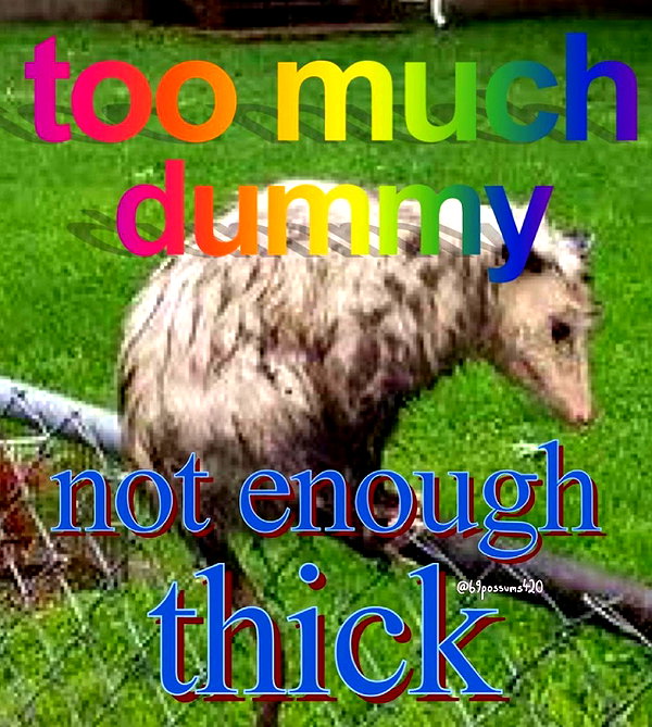 leanbeefpatty instagram image archive image