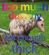 leanbeefpatty Altpins Profile Picture